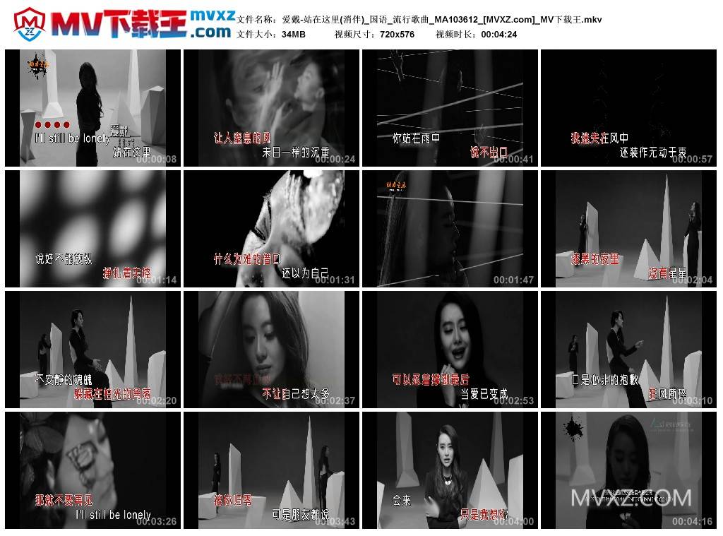 爱戴-站在这里(消伴)_国语_流行歌曲_MA103612